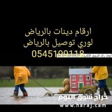 ارقام دينات بالرياض 0545199118